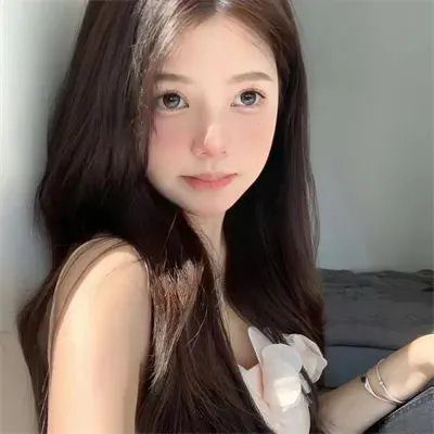 月季花开